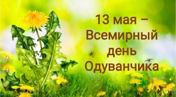 Международный день одуванчика. Международный день одуванчика.